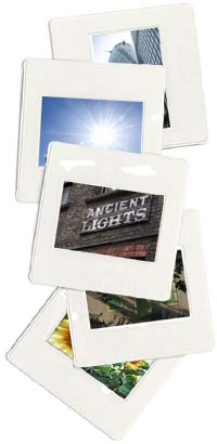snapshot photos: Gerkin building, sunlight, ancien lights sign, house shadow, sun flowers